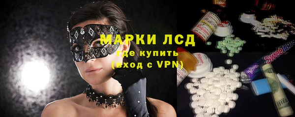 стафф Алзамай